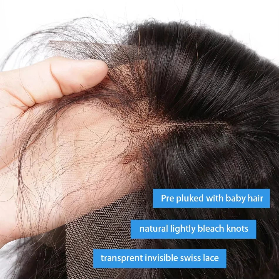 Vietnamese Straight Human Hair Wigs 13x4 Transparent Lace Frontal Wigs Remy Hair Preplucked 230% Density Glueless Wig For Women