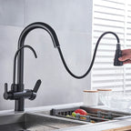 Matte Black Pure Water Kitchen Faucet Dual Handle Hot and Cold Drinking Water Pull Out  Kitchen Mixer Taps