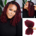 Brazilian QVR Afro Kinky Bulk Human Hair For Braiding Dreadlock Hair 50g/pc Virgin Natural Brown Remy Human Hair Debut Extension