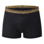 5-piece Set Of Men's Black Classic Elastic Waisted Underwear Quick Drying Comfortable Sporty Youth Trend Flat Corner Pants