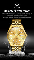 OLEVS 5593 Original Quatz Watch For Men Luxury Top Brand Stainless Steel Waterproof Auto Date HD Luminous Luxury Man Watch
