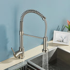 Brushed Nickel/Black Kitchen Faucet Single Handle High Arc Pull down Spray Sink Faucet with Lever Handle in Stainless Steelk