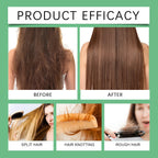 Rosemary Mint Shampoo for Hair Thickness Natural Herbal Volumizing Shampoo for Oily Scalp Strengthening & Repairing Hair Care
