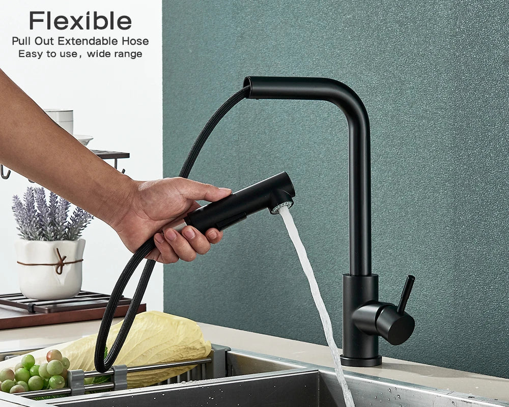 Kitchen pull-out faucet 304 stainless steel hot and cold faucet black sink faucet with two levels of water outlet