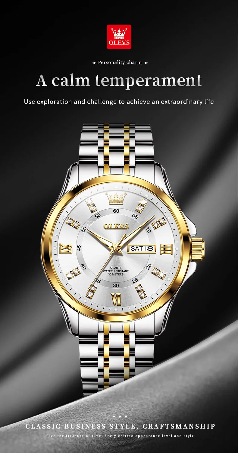 OLEVS Brand Watch Steel Band Stereo Dial Double Calendar Quartz Watch Waterproof Men's Watch 3620