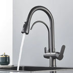 Gold /Black/Chrome Kithcen Purified Faucet Pull Out Water Filter Tap 2/3 Way Torneira Hot Cold Mixer Sink Crane Kitchen Drink