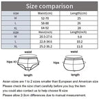 2 Pack High Waist Women Briefs Vintage Satin Silky Crotch Antibacterial Shaping Panties Tummy Control Butt Lifting Daily Panty