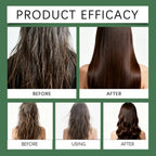 Rosemary Hair Growth Shampoo Organic Rosemary Oil for Hair Growth, Natural Anti Loss Thickening Shampoo for Thinning Hair